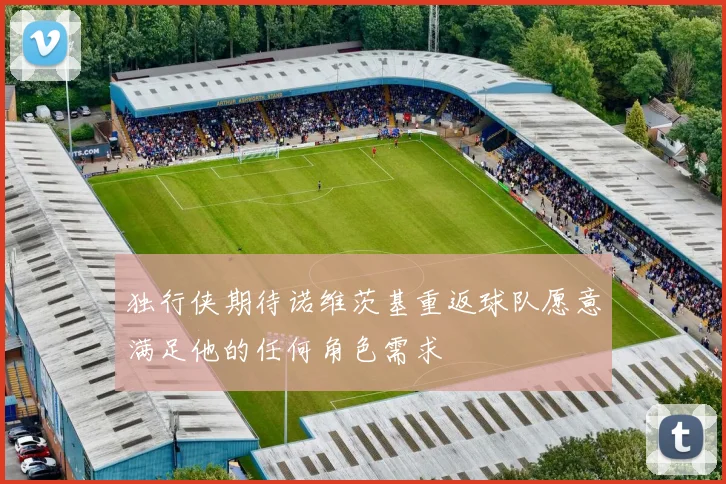 独行侠期待诺维茨基重返球队愿意满足他的任何角色需求